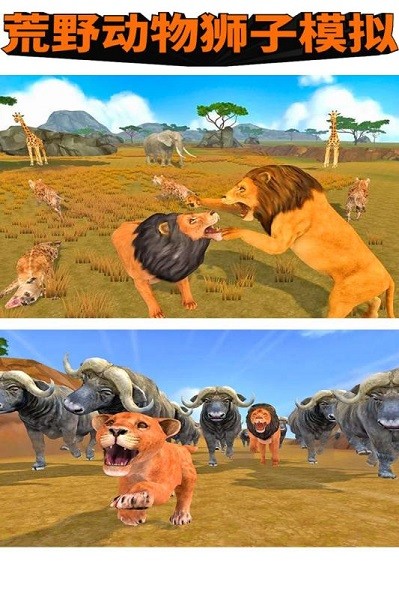 荒野动物狮子模拟-游戏截图3